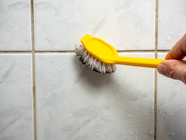 Best Same-Day Mold Removal  in Avery Creek, NC