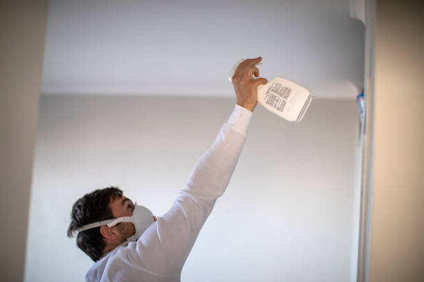 Best Home Mold Removal  in Avery Creek, NC