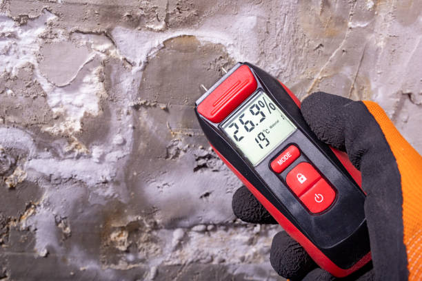 Best Water Damage Restoration  in Avery Creek, NC