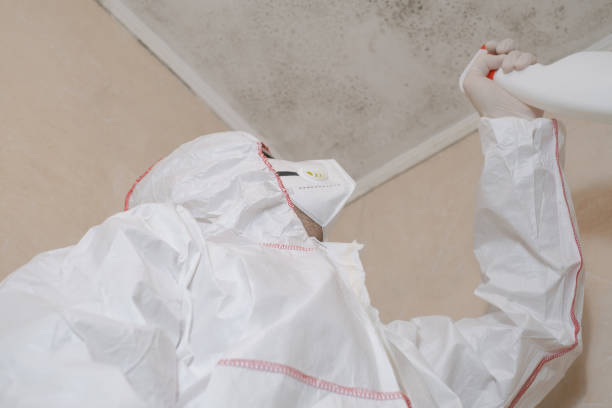 Crawl Space Mold Removal in Avery Creek, NC